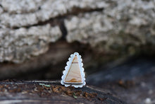 Load image into Gallery viewer, Picture Jasper Ring