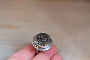Pyritized Ammonite Ring
